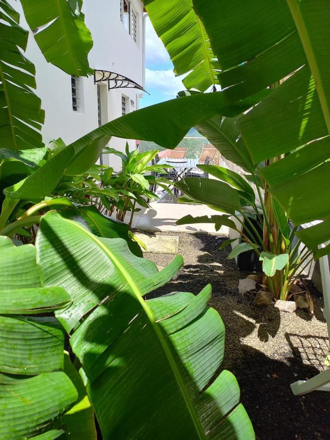 Le Damour Appartement 1 Ou 2 Chambres Les Anses-d'Arlets Luaran gambar